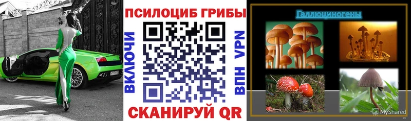 Псилоцибиновые грибы Psilocybine cubensis  Купить  Красный Холм 